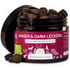 Bild von Wolfsbacher Natur Magen & Darm Leckerli - Probiotika Snacks für Hunde, für: Hund