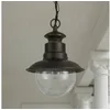 Bild von Lindby Hängeleuchten Eddie, Braun IP44, 1 x 60 W