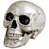 Bild von Boland Dekoobjekt Totenkopf Schädel 'Maxilla' beweglich - 17 x 17 x