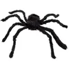 Bild von Boland Dekofigur Haarige Spinne Widowmist 50x65 cm Halloween Deko Schwarze Riesenspinne, mit flexibel verstellbaren Beinen