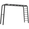 Bild von Berg Klettergerüst PlayBase L Black Schaukelgestell mit Reckstange & Leiter