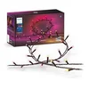 Bild von Philips Hue Lichterkette Festavia