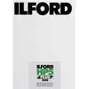 Bild von Ilford HP 5 Plus 8x10 Inch/25, Analogfilm, Schwarz