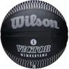 Bild von Wilson, Basketbälle, (7)
