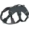 Bild von Ruffwear Web Master (XXS, Hund), Halsband + Leine