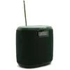 Bild von Pure Woodland Mini (17 h), Bluetooth Lautsprecher, Schwarz, Grün