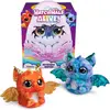 Bild von Hatchimals EGG Big Egg Secret Hatch Draggle