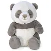 Bild von Cloud B, Nachtlicht, CLOUD'B-CLTT-7663-POSITIVE CUFF PANDA