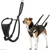 Bild von Company of Animals Halti No Pull Antizug S Harness (S, Hund, Allgemein, Hundesport, Spazieren), Halsband + Leine