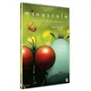 Bild von Dvd Minuscule Saison 2 Volume 3 Dvd
