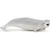 Bild von Papo Weisswal