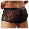 Bild von Paris Hollywood, Herren, Unterhosen, Boxer noir transparent - Small, Schwarz, (Einzelpack, S)