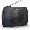 Bild von Thomson Rt350 Radio