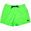 Bild von Badehose Quiksilver Everyday Solid Volley Vert M