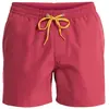 Bild von Badehose Quiksilver Everyday Volley 15 Rouge XL