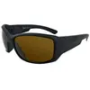 Bild von Julbo Whoops Photochrome Polarisierte Sonnenbrille Cameleon Antifog Polarized Photochromatic/CAT
