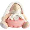 Bild von Doudou et Compagnie Hase Pyjamabeutel (43 cm)
