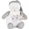Bild von Doudou et Compagnie, Nachtlicht, Nachtlicht Sterne & Musik, Bär silber 19cm