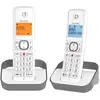 Bild von Alcatel F860 Duo, Telefon, Grau