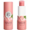 Bild von Roger & Gallet, Lippenpflege, ROGER GALLET Baum Lev Sub Fleur Fig 3.5g (Lippenbalsam, Lippenpflege Stick, 3.50 ml)