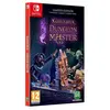 Bild von Nintendo Games Switch Naheulbeuk dungeon master - limited edition