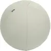 Bild von Leitz, Gymnastikball, (55 cm)