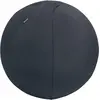 Bild von Leitz, Gymnastikball, (55 cm)