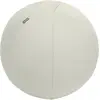 Bild von Leitz, Gymnastikball, (65 cm)