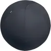 Bild von Leitz, Gymnastikball, (75 cm)