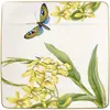 Bild von Villeroy & Boch Amazonia, Teller, Weiss