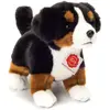 Bild von Teddy Hermann Sennenhund Welpe (23 cm)