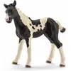 Bild von Schleich Pinto Fohlen