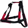 Bild von Trixie Lead n Walk Ausbildungsgeschirr S-M (M, S, Hund, Allgemein), Halsband + Leine