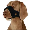 Bild von 2x Trixie Maulschlaufe (XL, Hund, Hundesport, Jogging, Spazieren), Halsband + Leine