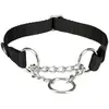 Bild von Trixie Premium Zug-Stopp-Halsband (L, M, Hund), Halsband + Leine