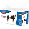 Bild von Trixie Windeln (Hund), Tierhygiene