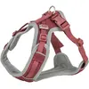Bild von Trixie Premium FlexMesh harness, wide fit,M:58 80cm/20mm,sangria (M, Hund), Halsband + Leine