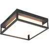 Bild von Trio, Deckenleuchte, 677860142 LED-DL WITHAM, 14W (1550 lm)