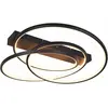 Bild von Trio, Deckenleuchte, LED-Deckenleuchte Darvin 649110132 schwarz, 34 W, 4500 lm, CCT (4500 lm)
