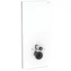 Bild von Geberit, Spülkasten, Monolith PLUS Sanitärmodul für Wand-WC, 114cm, Wasseranschluss hinten mittig, mit Anschlus