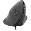 Bild von Speedlink Piavo Ergonomische Maus