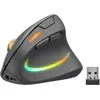 Bild von Speedlink Piavo Pro (Kabellos), Maus, Schwarz
