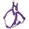Bild von Nobby Geschirr Soft Grip (60, Hund), Halsband + Leine