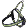 Bild von Nobby Norwegergeschirr Variado (L, XL, Hund, Allgemein), Halsband + Leine