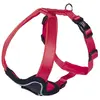 Bild von Nobby Komfort Geschirr Classic Preno (S, XS, Hund, Allgemein), Halsband + Leine