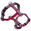 Bild von Nobby Geschirr Style (XS, Hund), Halsband + Leine