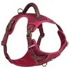 Bild von Nobby Sporty (L, Hund, Spazieren), Halsband + Leine
