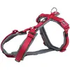 Bild von Trixie Premium Trekking, Geschirr, für Hund, rot (L, M, Hund, Spazieren), Halsband + Leine