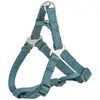Bild von Trixie Hondentuig Premium One Touch Petrol - 50-65X2 Cm (M, Hund, Allgemein), Halsband + Leine