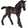 Bild von Schleich Lipizzaner Fohlen